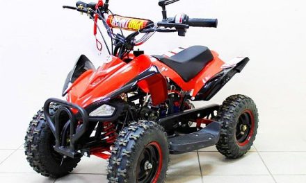 квадроцикл детский RAIZOR TREK 50 Цена 33500р.