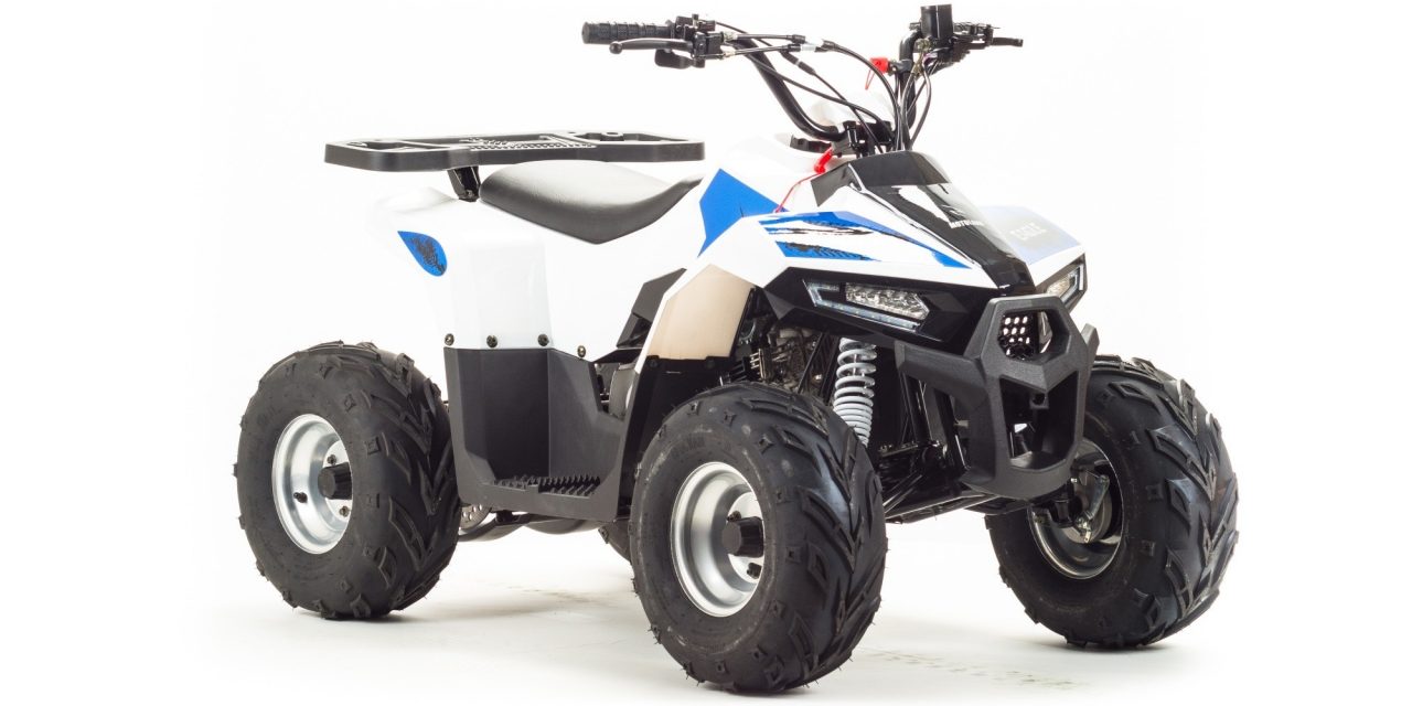квадроцикл ATV 110 EAGLE Цена 96500р.