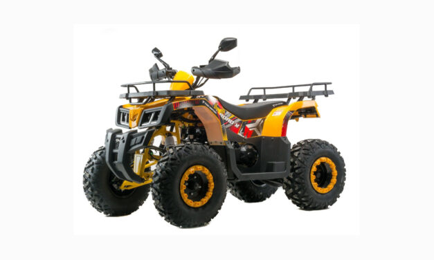 квадроцикл ATV 200 ALL ROAD Х Цена 233400 р.