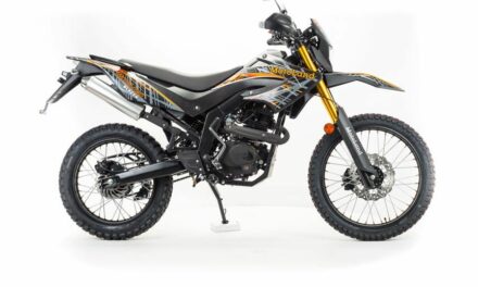 мотоцикл Кросс BLAZER 250 Цена 139150 р.
