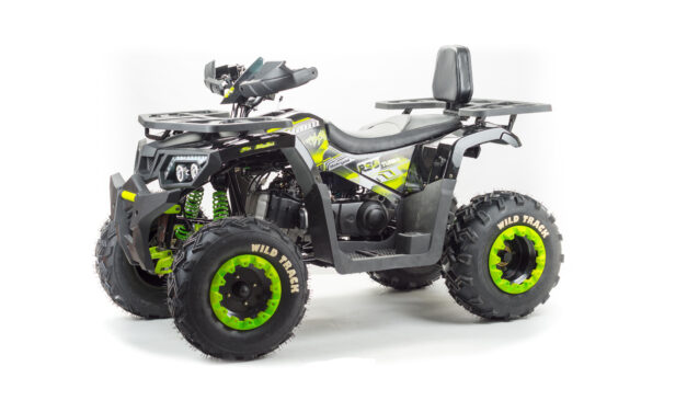 квадроцикл ATV 200 WILD TRACK LUX Цена 183600 р.