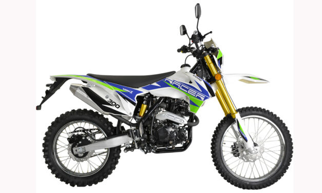 мотоцикл Racer RC300-GY8A Enduro 300 Цена 141000 р.