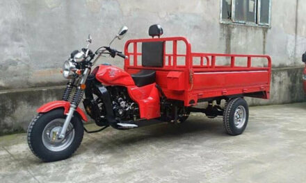 мотоцикл грузовой AGIAX 250 Цена 211100 р.