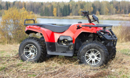 квадроцикл IRBIS ATV150 LUX Цена 235000 р.