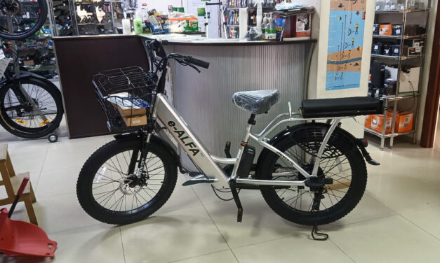 Велогибрид GREEN CITY e-ALFA Fat Цена 89900 р.